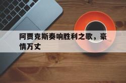 华体会官方平台下载-阿贾克斯奏响胜利之歌，豪情万丈