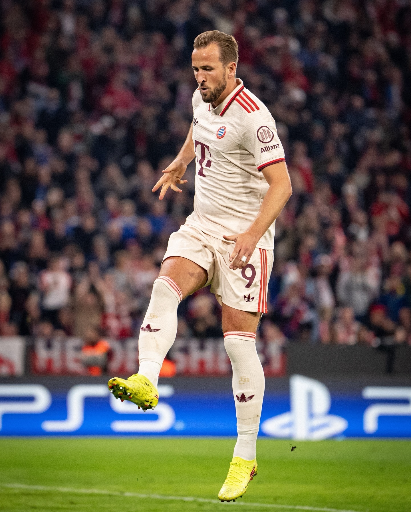 拜仁2-0沙尔克:慕尼黑豪门开门红 拜仁2-0沙尔克:慕尼黑豪门开门红