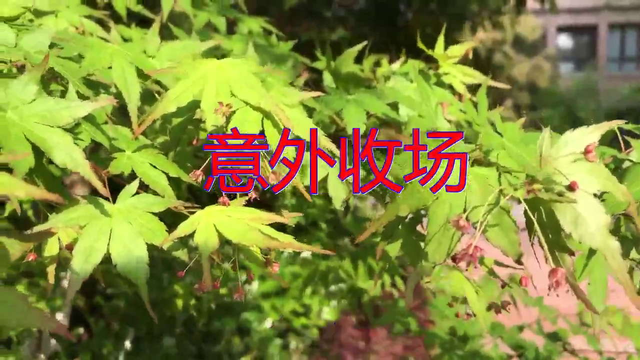 鬼鬼祟祟的比赛走了个排列组合，造成意外收场