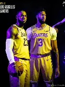 湖人遭遇败绩，鹈鹕全队表现抢眼