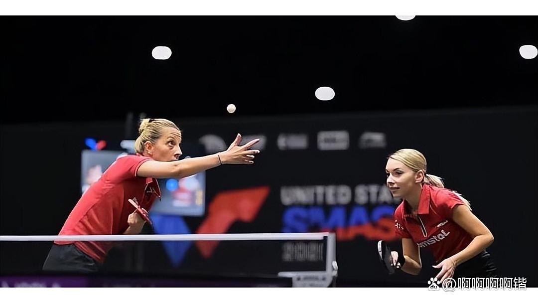 瑞典队险胜波兰队，张本智和高光表现的简单介绍